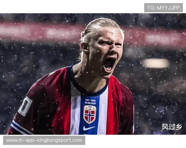世界杯哈兰德禁区内背身转身摔射制胜